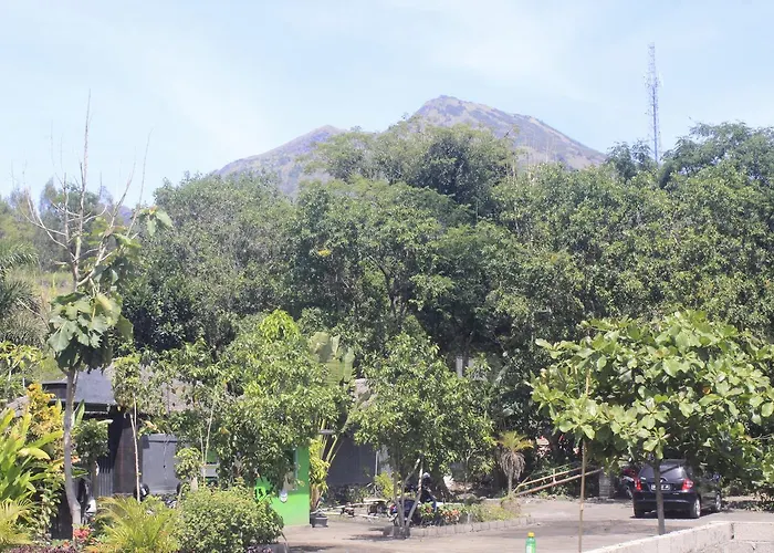 Lava Stone Hostal